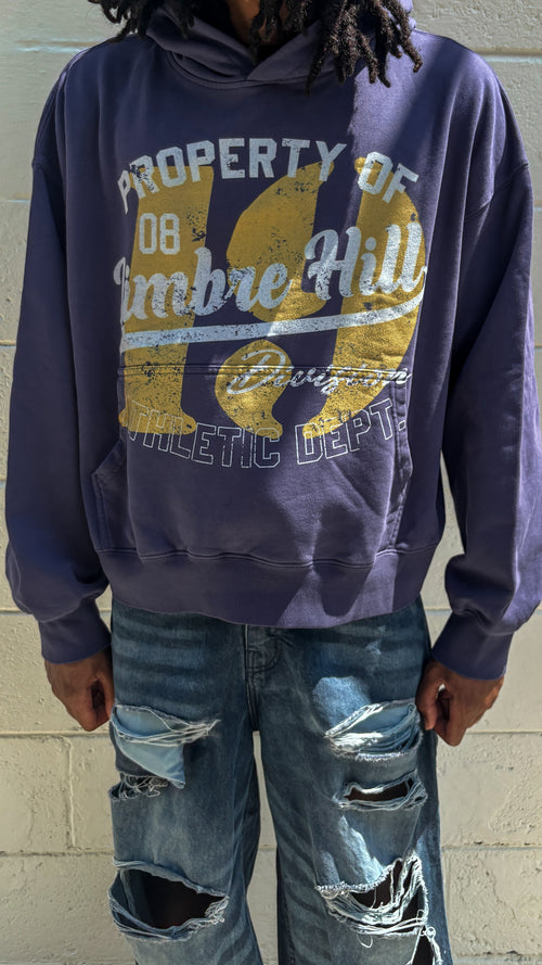 Limbre athletic hoodie